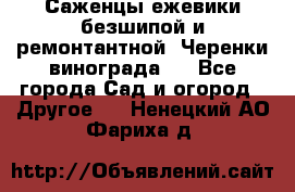 Саженцы ежевики безшипой и ремонтантной. Черенки винограда . - Все города Сад и огород » Другое   . Ненецкий АО,Фариха д.